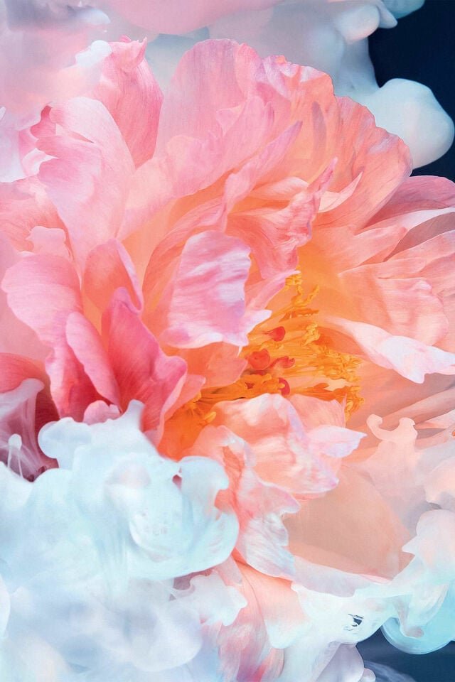 JOY by Dior Eau de Parfum Intense