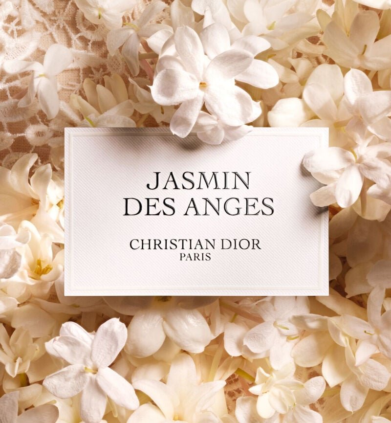 Jasmin des Anges — 3.4 oz